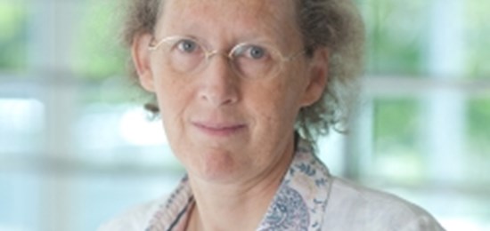 Epidemiologist Floor Van Leeuwen Receives Oeuvre Award
