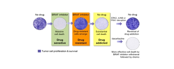 Cancer Cell Drug Addiction Solved