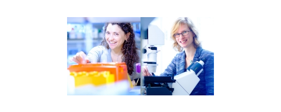 Leila Akkari and Tineke Lenstra to join Oncode Institute