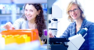 Leila Akkari And Tineke Lenstra To Join Oncode Institute