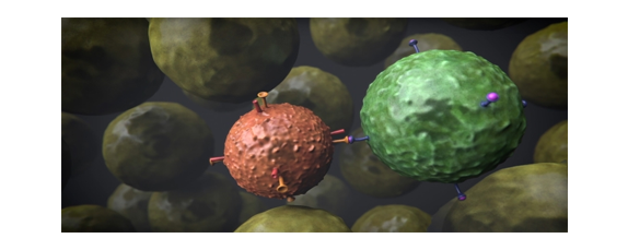 Immune system deserves priority - picture 1