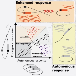 OC Abstract Png 320[64]