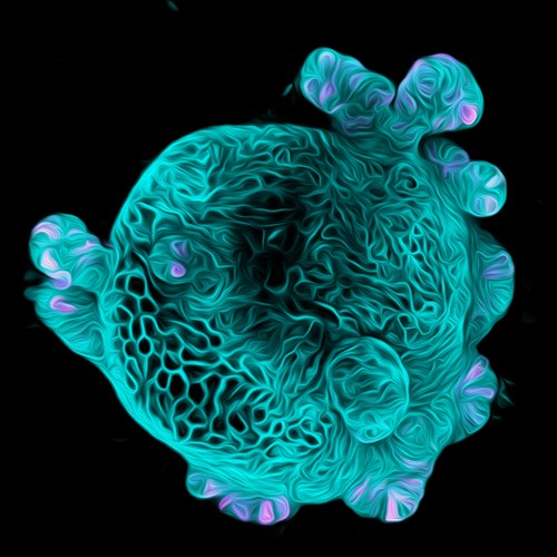 Turquoise Ball
