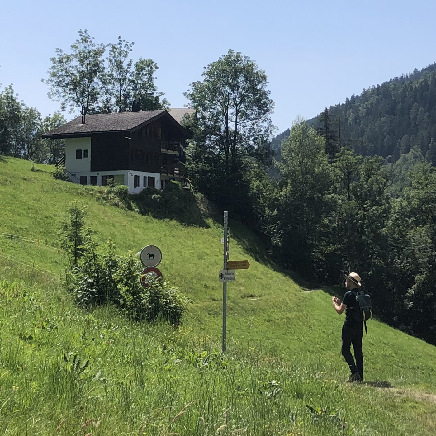 Benjamin In Mountains