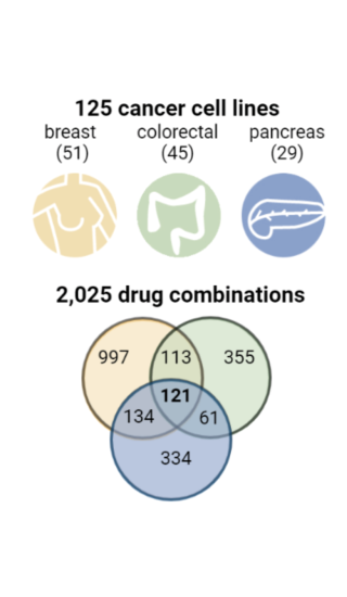 Testing 2025 Cancer Drug Combinations 320X550