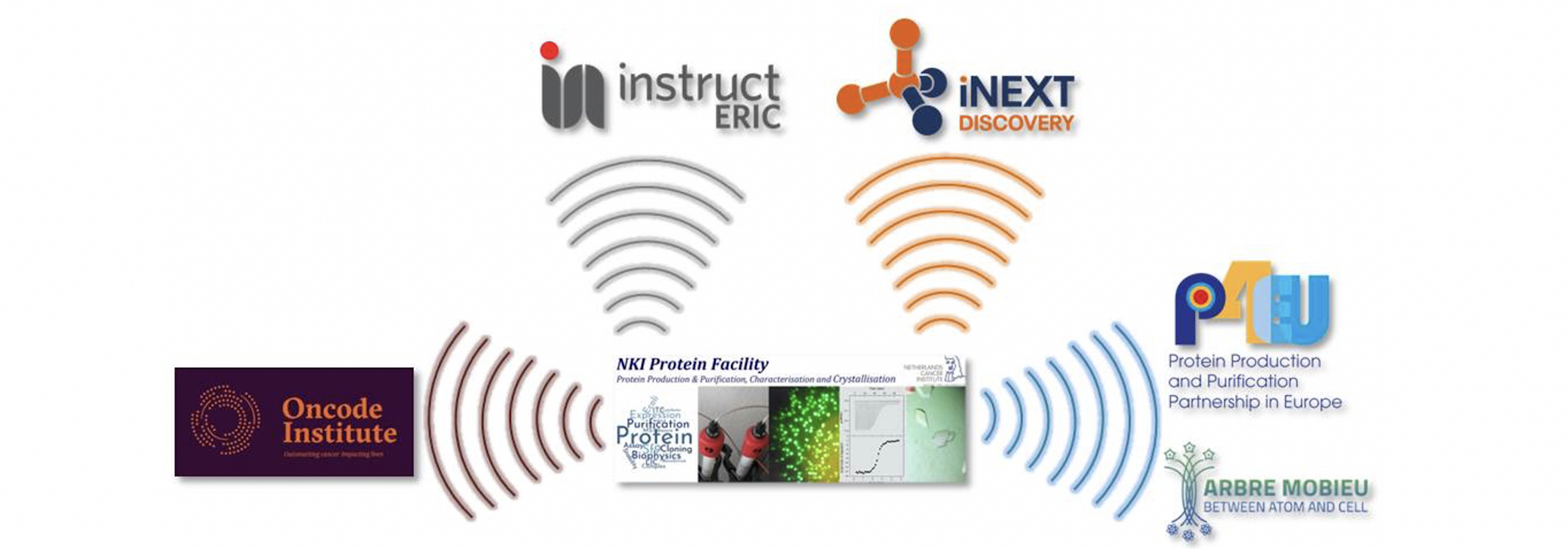 Banner Protein Facility Networks