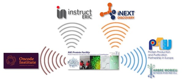 Banner Protein Facility Networks