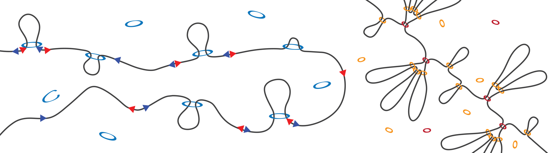 Banner Benjamin Rowland Loops V3