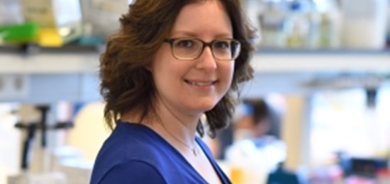 Immunologist Daniela Thommen Wins Pfizer Science Award