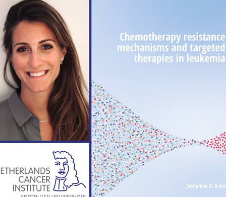 Phd Dissertation Josephine Kahn Grip On Resistance To Chemotherapy 1