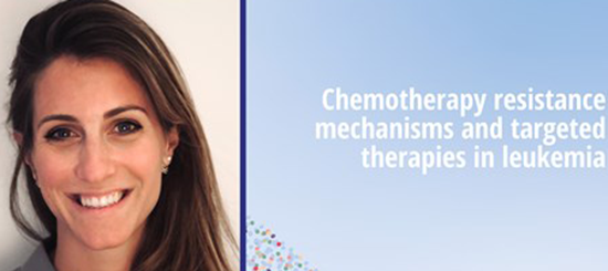 Phd Dissertation Josephine Kahn Grip On Resistance To Chemotherapy 1