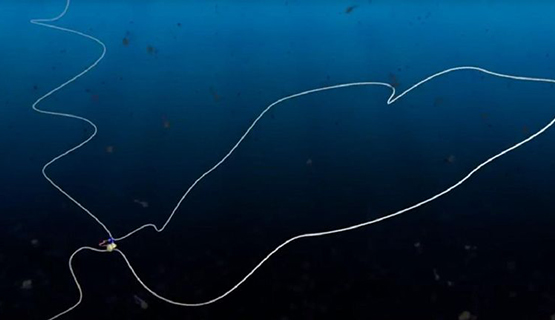 Ganji Loop 555X320