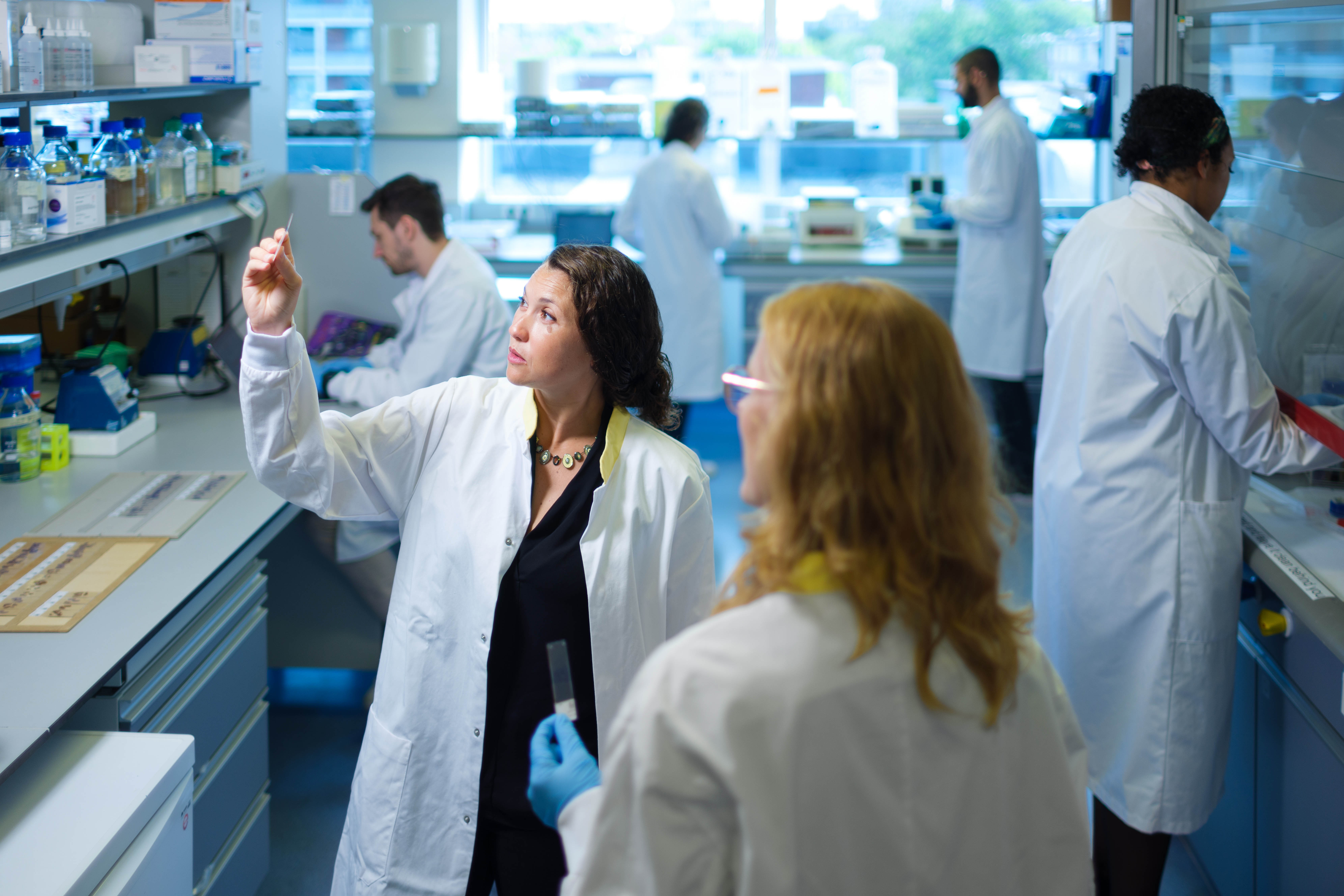 Banner Homepage cancer researchers in lab
