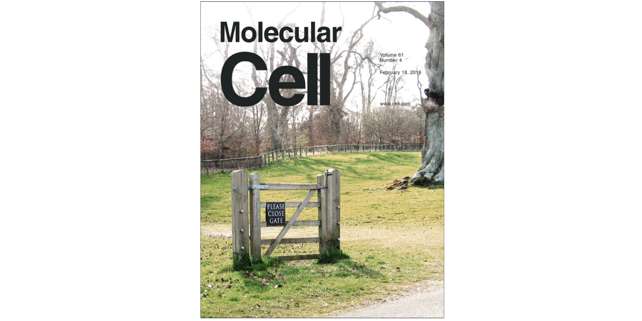 Mol Cell Cover
