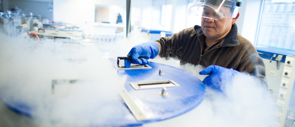 Cryo storage | Netherlands Cancer Institute