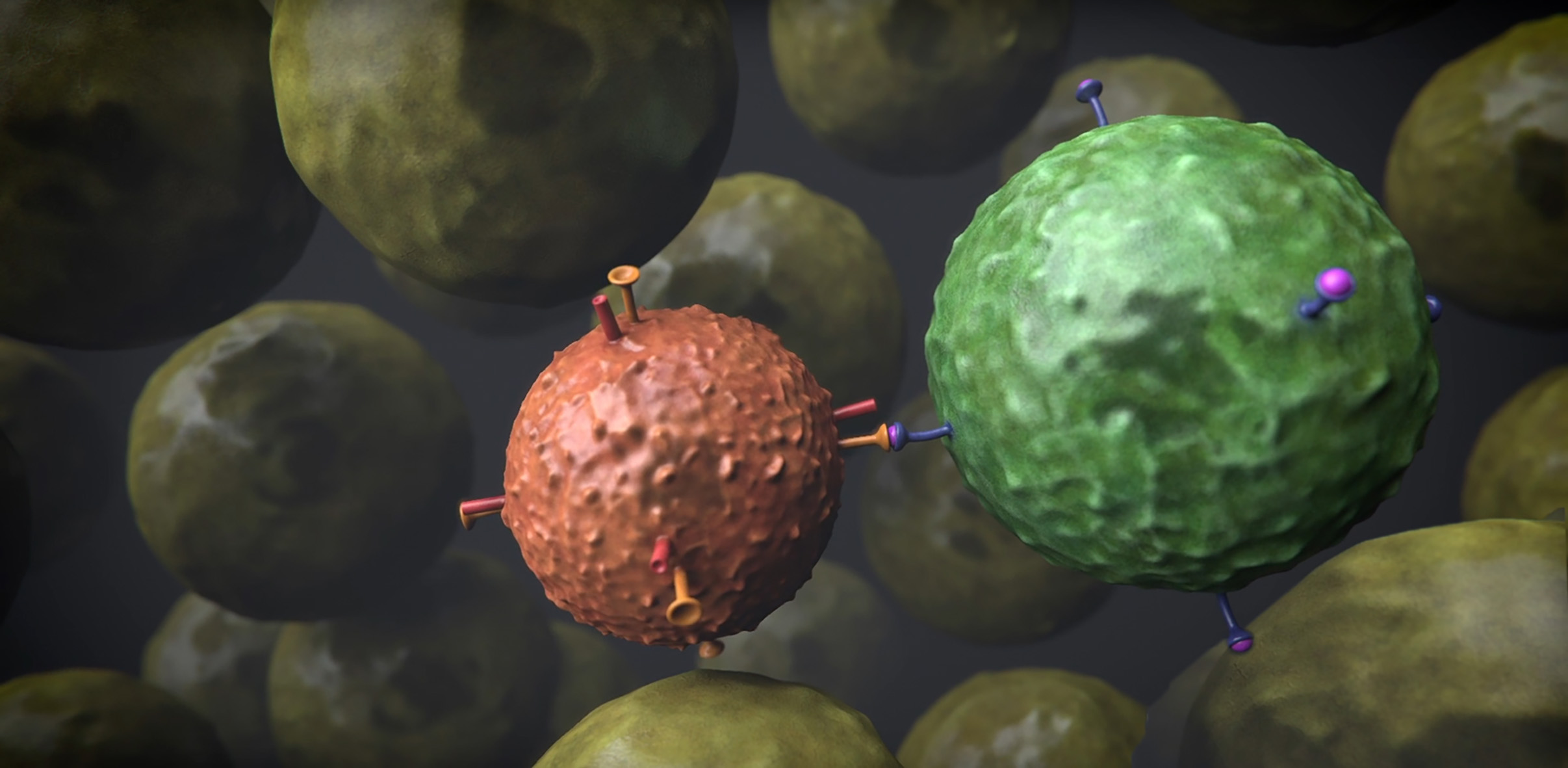 Neoadjuvant Immunotherapy