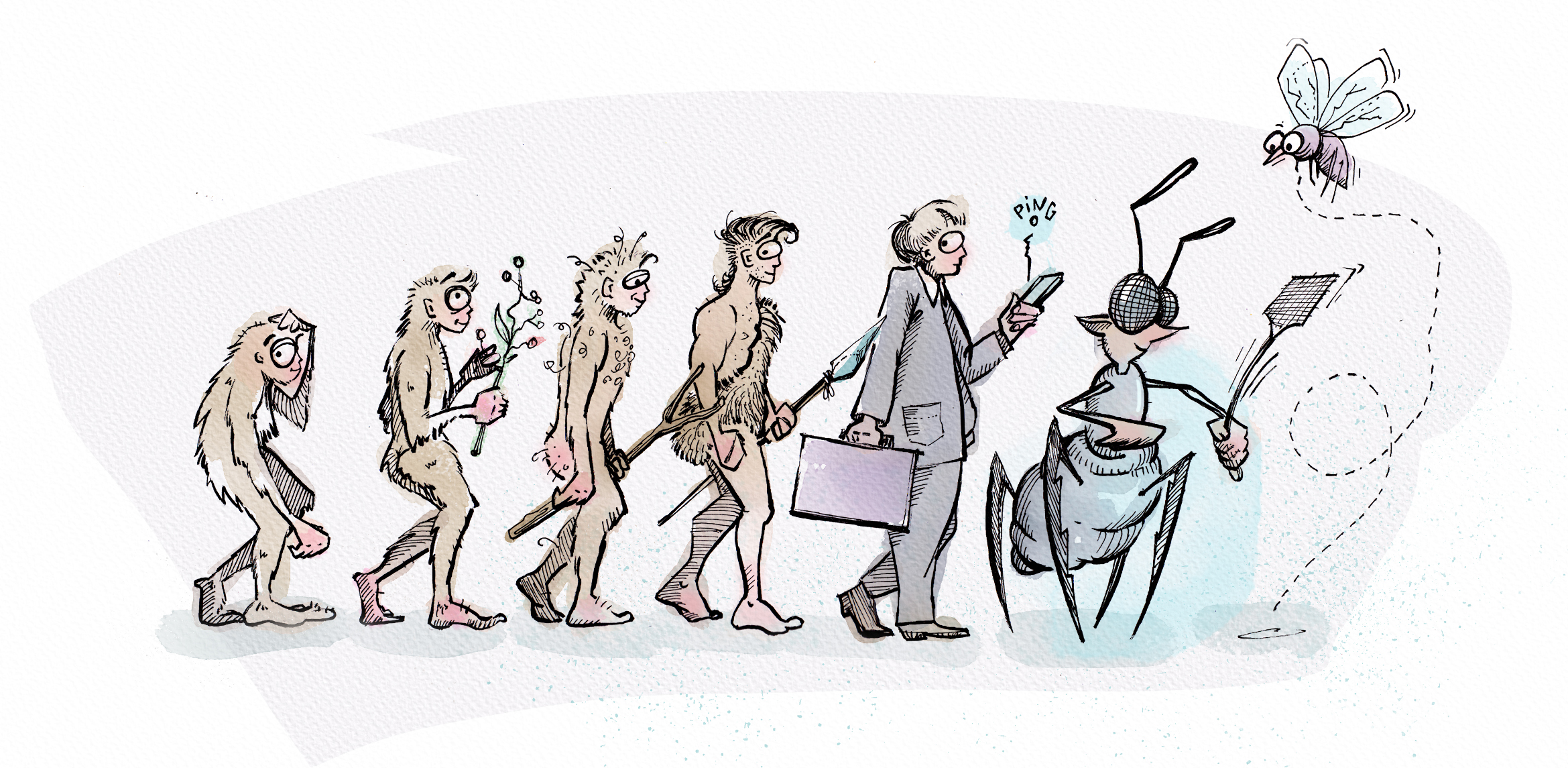 Evolution Rectangle