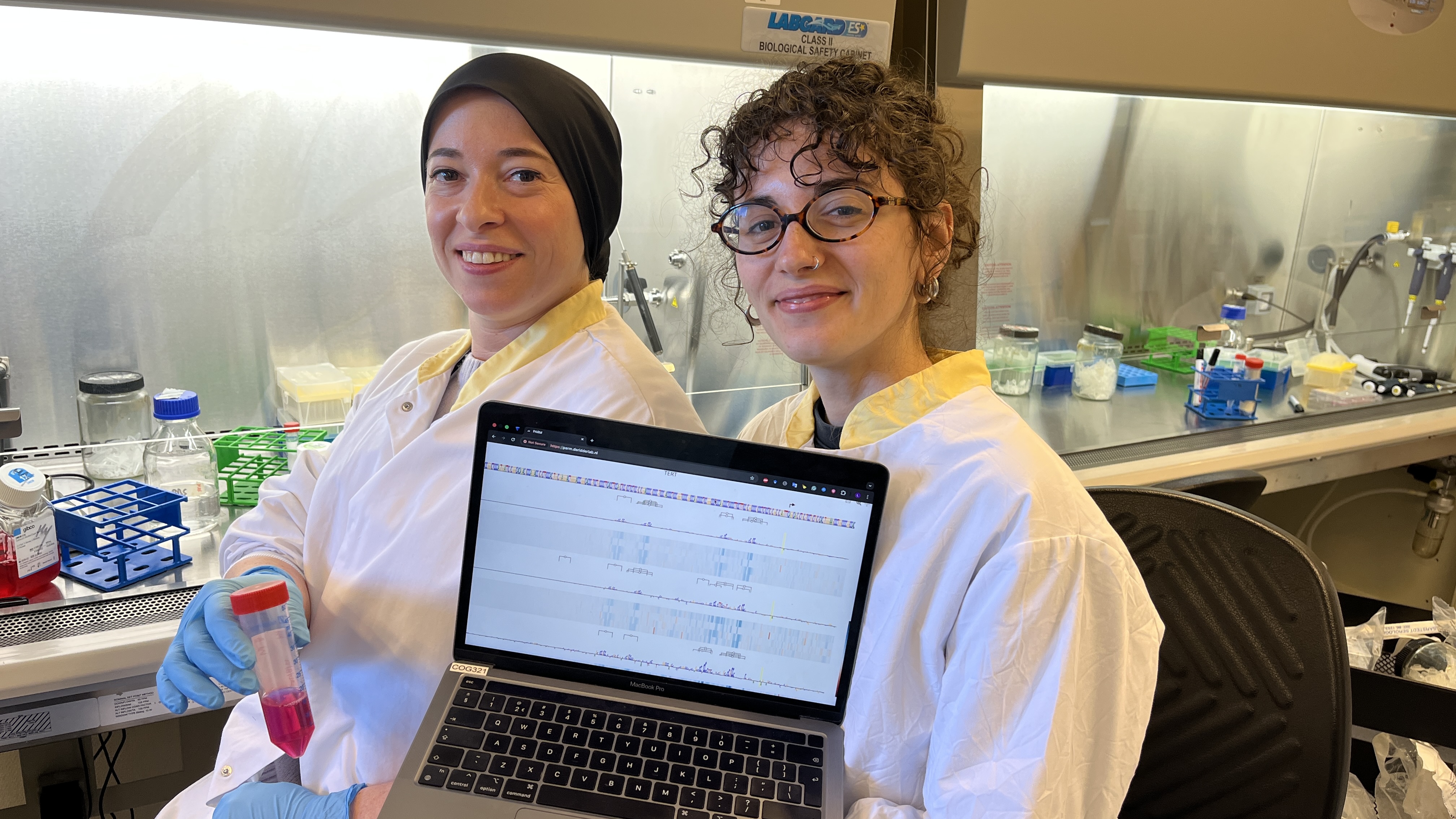 Pericode Hatice Lucia