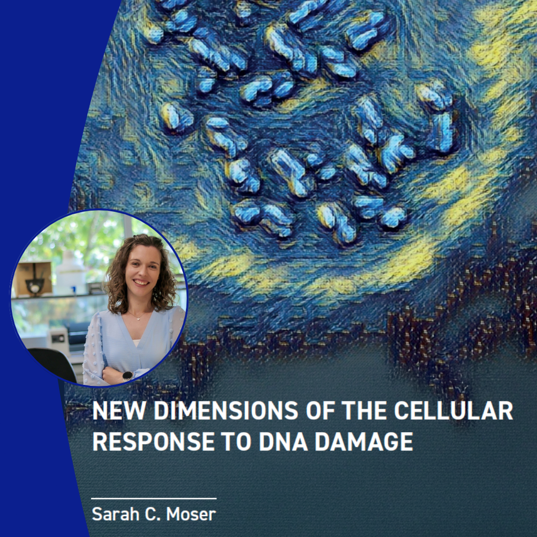 Banner NKI Sarah Moser